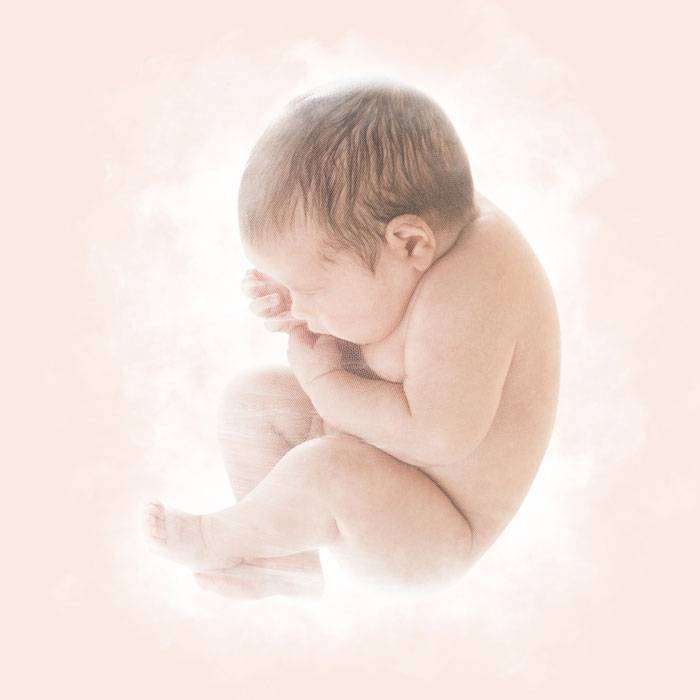 GMekonyum Nedir?