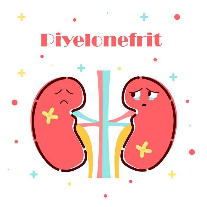 GPiyelonefrit Nedir?