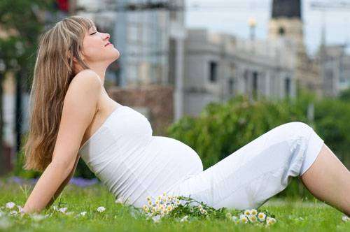 shutterstock_133186010