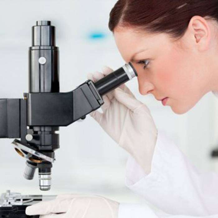 Sperm Detoksu Nedir?