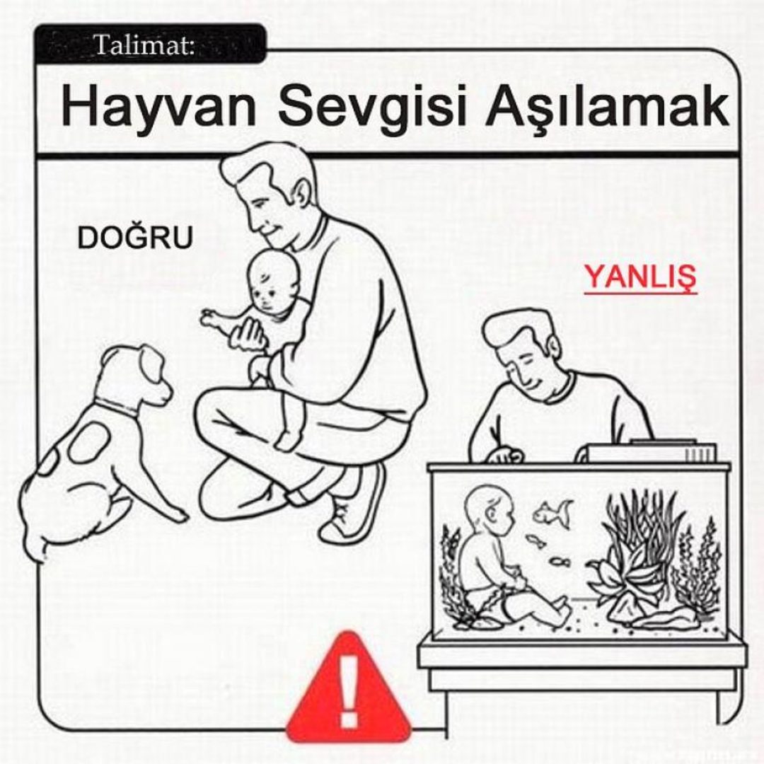 hayvan-sevgisi-asilamak-27