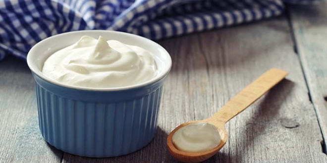 yagsiz-yogurt-1