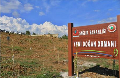 yenidoğan fidan projesi