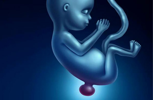 spina bifida hastalığı