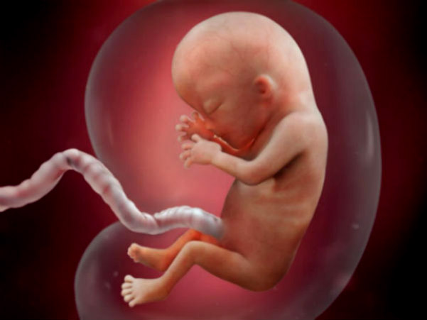 anne karnındaki bebek müzik