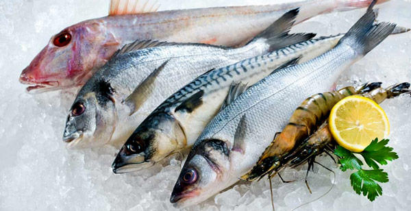 gebelikte balık yemek