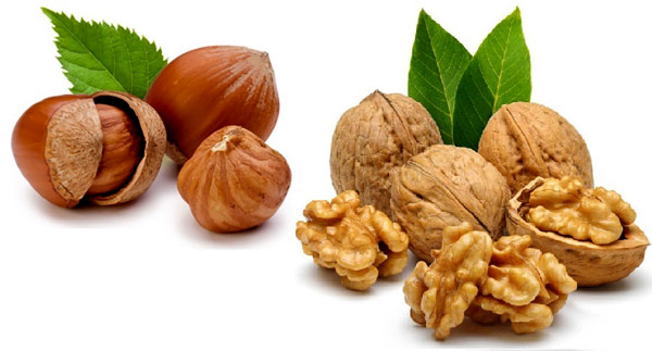 doğurganlığı artıran besinler