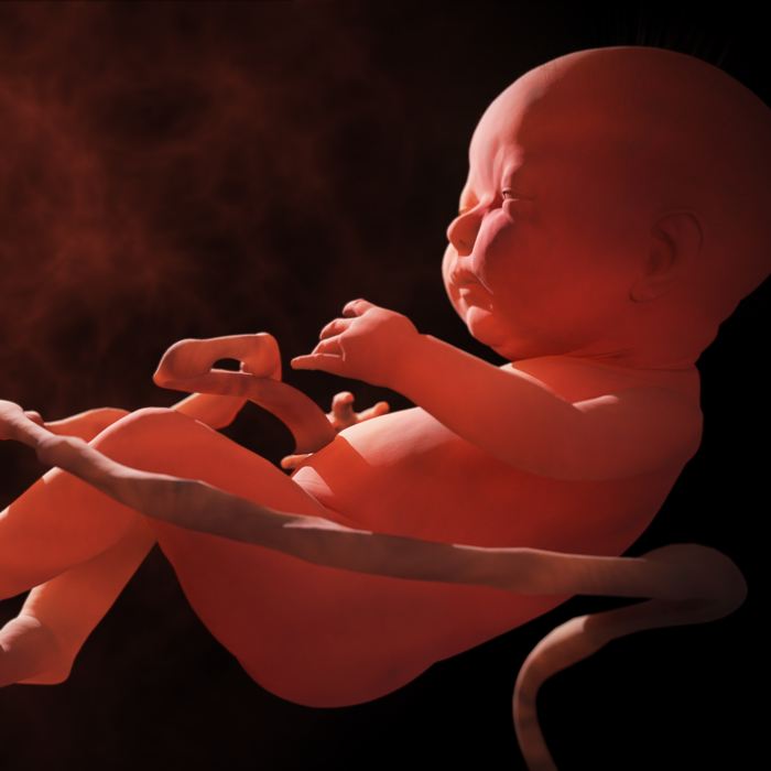 Anne Ve Babası Öldükten 4 Yıl Sonra Dünyaya Gelen Mucize Bebek!