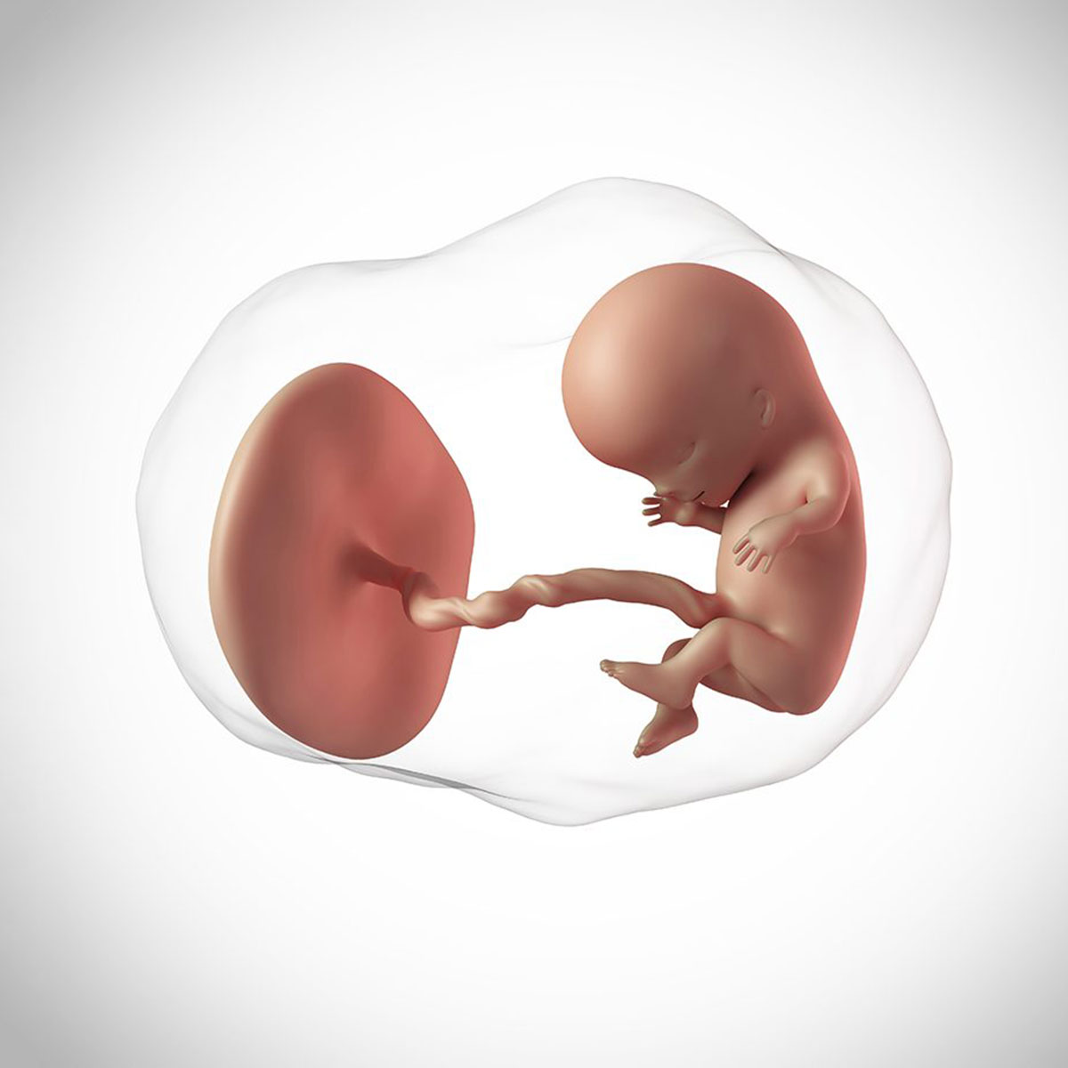 Gebelik Kesesi Ultrasonda Ne Zaman Görünür?