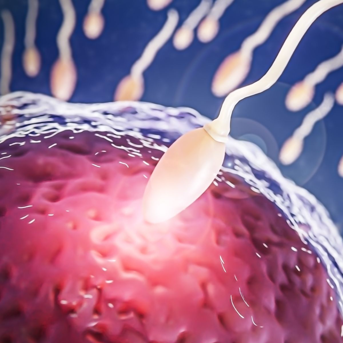 Sperm Testi Nedir, Nasıl Yapılır? Sperm Testi Normal Değerleri