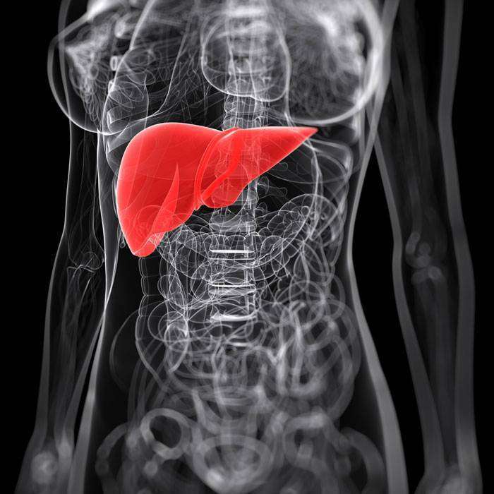 GBilirubin Nedir?