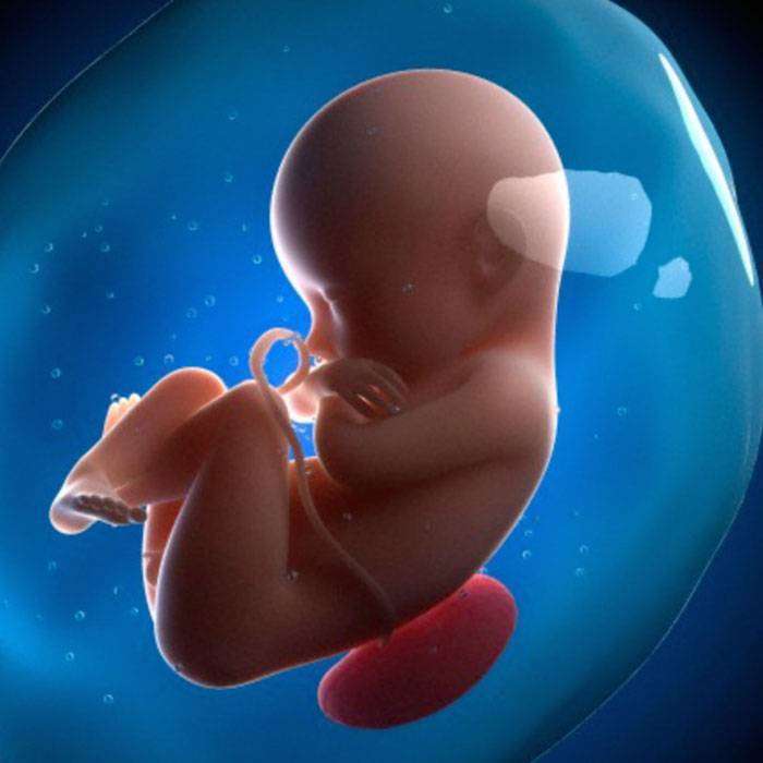 GPolihidramniyos Nedir?