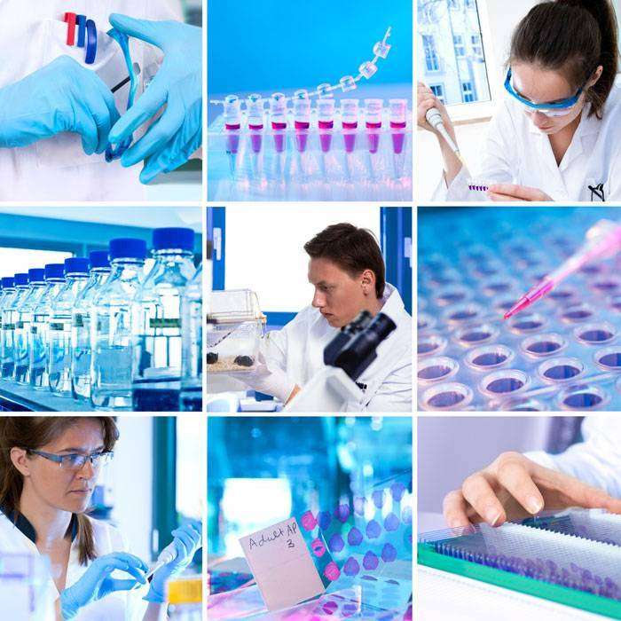 GÜçlü Tarama Testi Nedir?