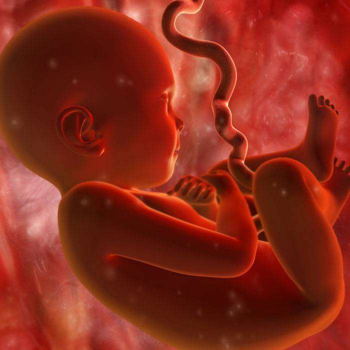 GFetal Gerginlik Nedir?