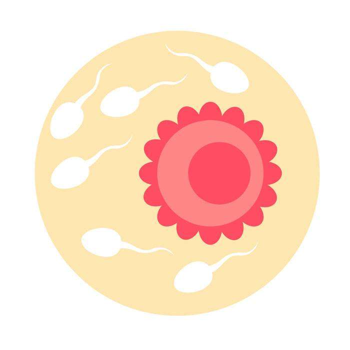 GDöllenme Haftası Nedir?