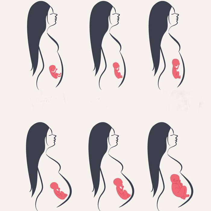 GFetal Periyot Nedir?