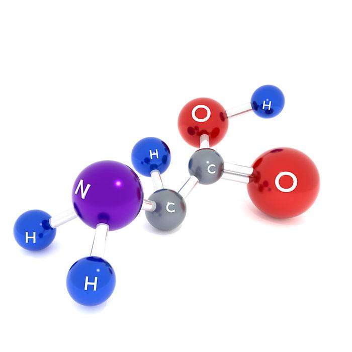 GAmino Asitler Nedir?