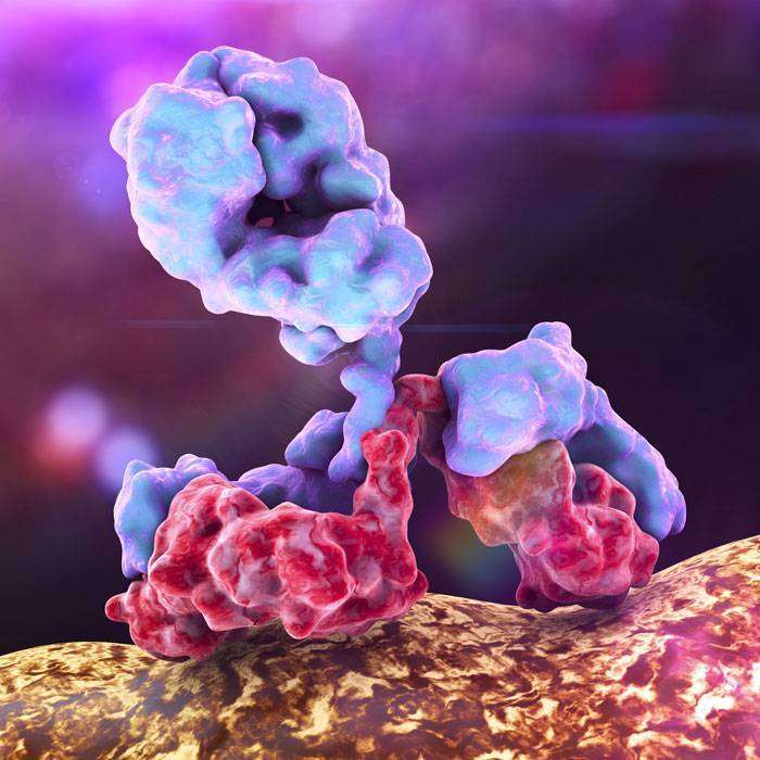 Gİmmunoglobulin Karışımı Nedir?