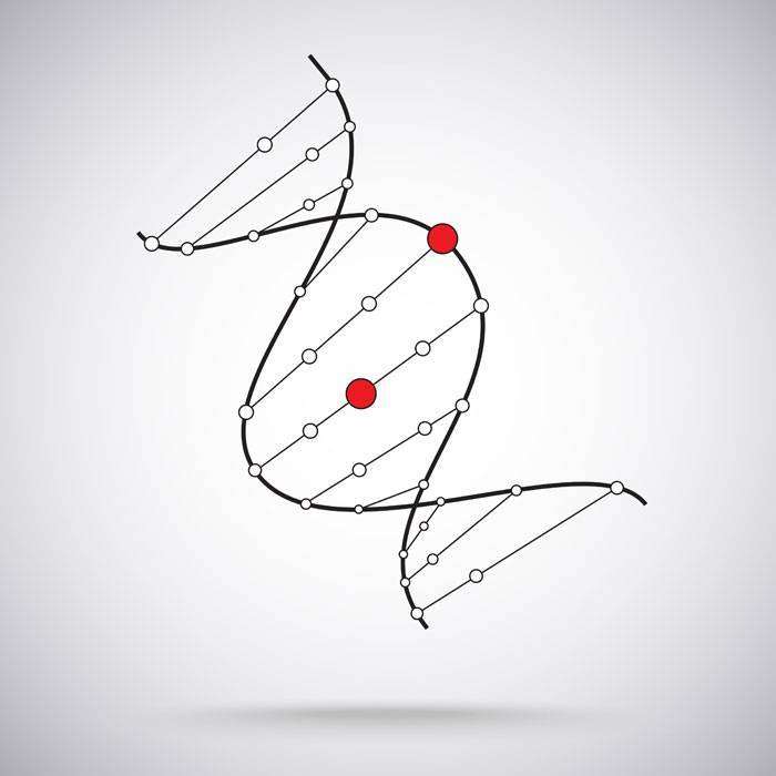 GKromozom Anomalisi Nedir?