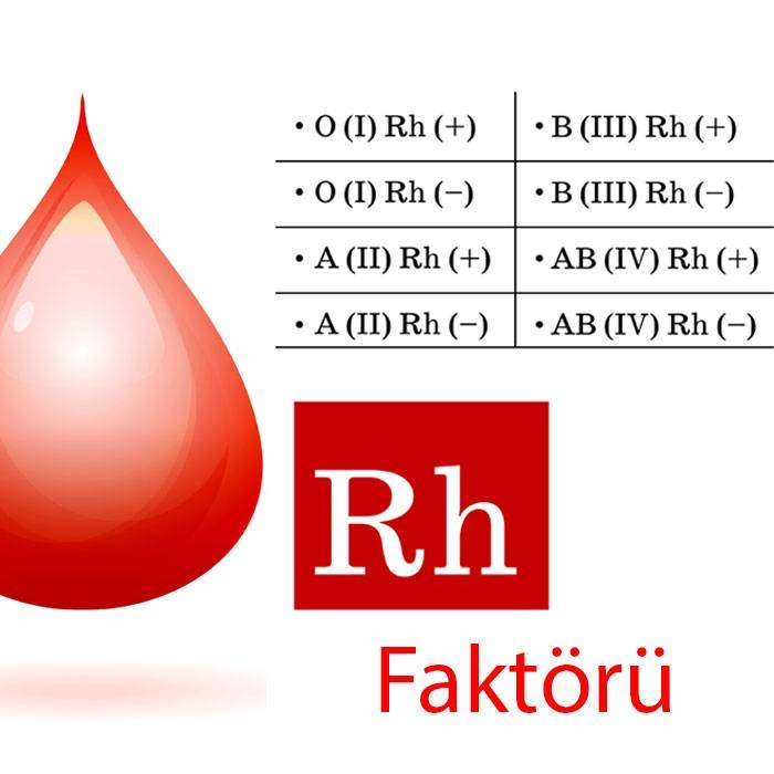 GRh-faktörü Nedir?