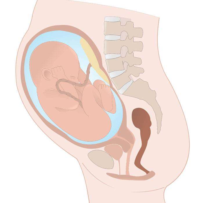 GSaf Makat Pozisyonu Nedir?