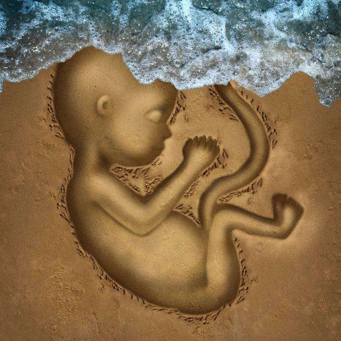 GTamamlanmamış Düşük Nedir?