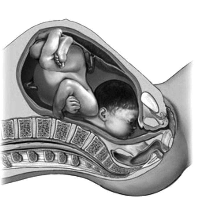 GYüz Prezentasyonu Nedir?