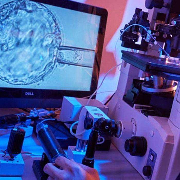 Pgs Uygulaması İle Gebelik Ve Canlı Doğum Oranı Arttı