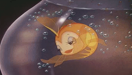 gif 3
