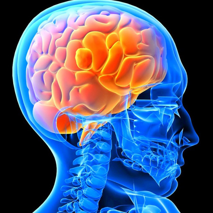 Araştırmaya Göre Gebelik Kadınların Beyinlerini Değiştiriyor