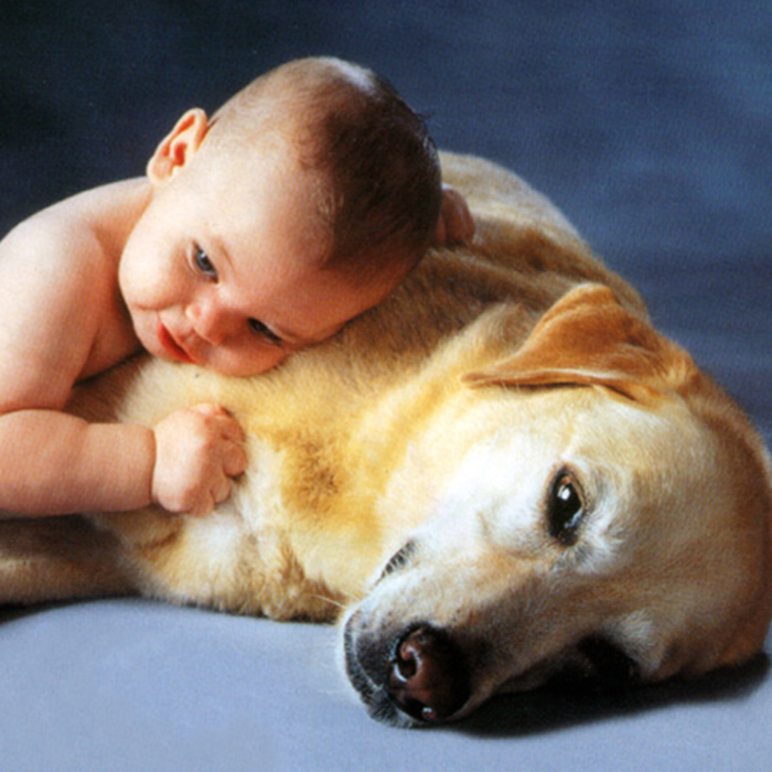Bebek Bakımında Doğru Bilinen 10 Yanlış Bilgi