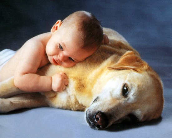 bebekli-evde-kedi-kopek-3