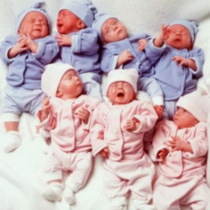 Hayatta Kalmayı Başaran Dünyanın İlk Yedizlerinin Hikayesi