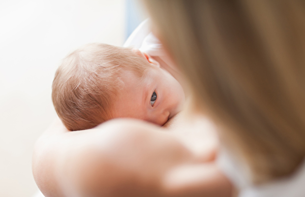 ilk-gun-sut-gelmedi-1