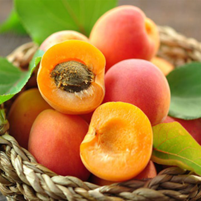 Kalsiyumu Doğal Yollardan Alabileceğiniz 13 Besin