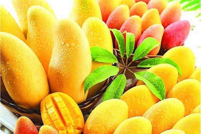 mango-2