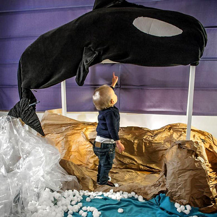 Free-Willy-özgür-willy