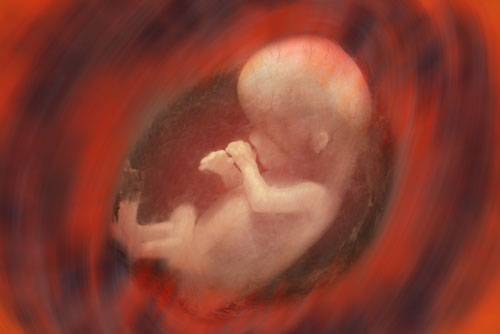 bebegin-karin-on-duvari-anomalileri