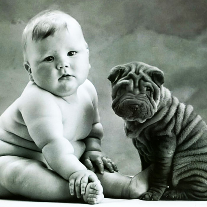 Bebekler Ve Onların Büyük Köpek Dostları