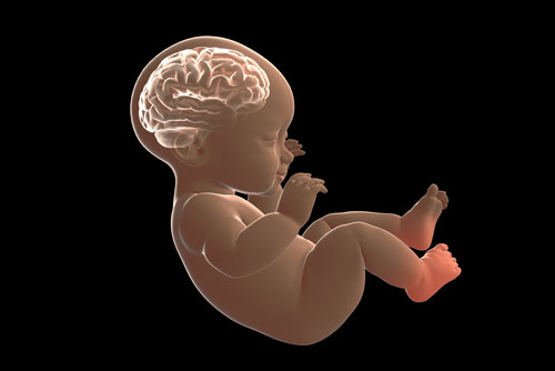 bebekte-kafa-ve-beyin-anomalileri