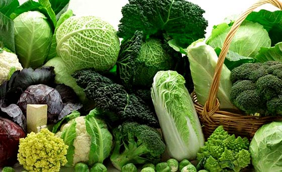 folik asit içeren besinler