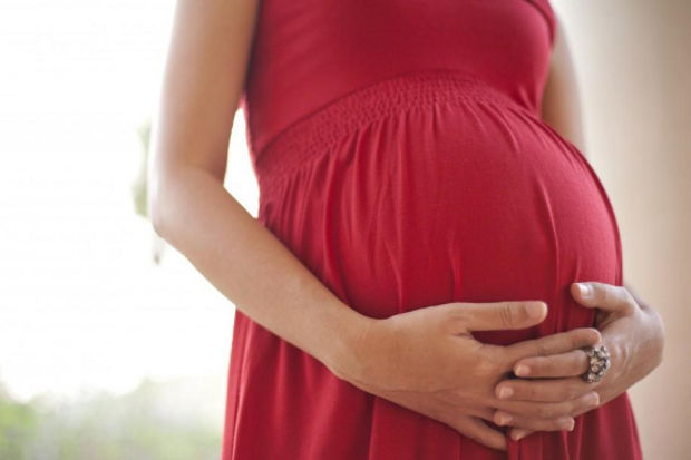 yüksek ya da düşük