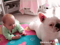 bebek ve köpek