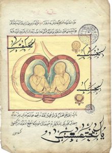 ebe-gülbahar-hatun