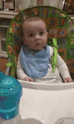 giphy-tumblr (4)