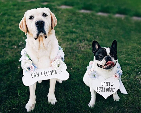 hatice şendil hamile resimleri