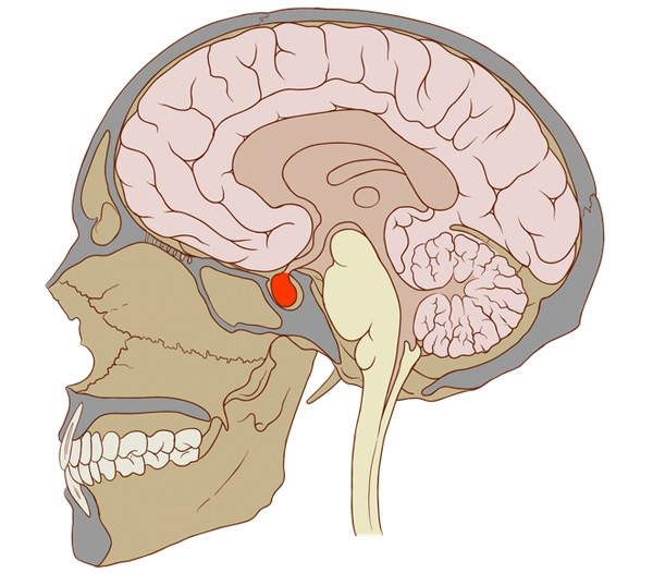 süt-hormonu-nasıl-düşürülür