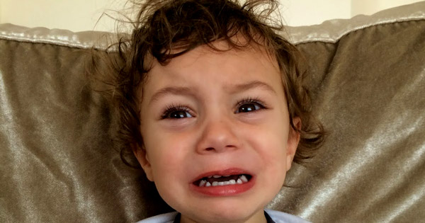 iki yaş sendromu öfke krizi