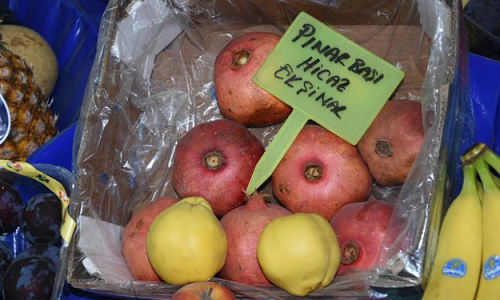 hamileler için manav