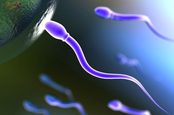 sperm radarı